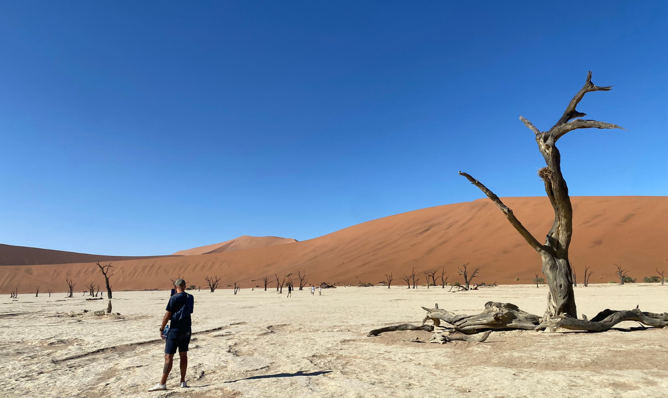 Progetto senza titolo-6